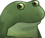 FrogeConcern
