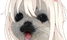 sealWOW