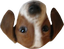 ZliL