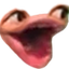 pOg