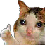 ThumbUpCat