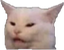 CatWhat