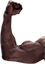 MuscleL