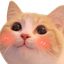 Catblush