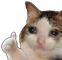 CatThumbs