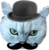 AllenSpy