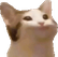 pauseCat