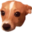 altKalinka2