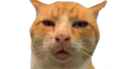 HUH