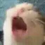 AAAA