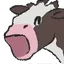 MOOOO