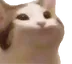 pogCat