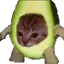 Avacatospin