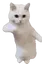 CatTime