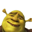 ShrekRizz