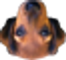ZrehplaR