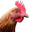 ChickenWHAT