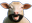 Sheepay