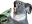 KoalaEat