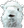 seAlpaca