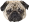 PugZ