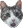 PogCat