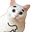 CatDislike