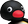 Noot