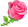 BNSrose