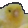 pmoBirdDerp