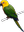 !Parrot999