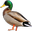 DuckPlz