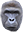 OurBoyHarambe