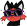 starCoolCat