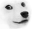 GhostDoge