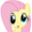 FlutterDerp