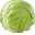 Maicabbage