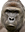 HarambeFace