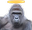 pkHarambe