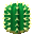 Cactus64