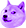 PurpleDoge