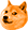 OrangeDoge