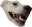 1GButters