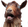 GoatScream