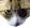 StreamCat