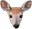 fawnDeer