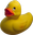 Djducky1