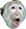 PogChimp