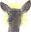 DeerGod