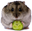 HamsterCrunch